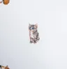 A single kitten is pictured on a white background. Podgląd zdjęcia produktu
