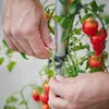 Gusta Garden TOM TOMATO 3er-Set, hellgrau Produktbild-Vorschau 10