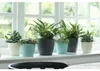 Blumentopf Elho Brussels Kunststoff Ø 14 cm H 12 cm Produktbild-Vorschau 3