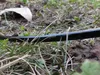 4/7mm zavlažovací hadice - 10m Náhled obrázku produktu 8