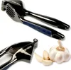 A product shot of a garlic press and garlic cloves on a white background. Podgląd zdjęcia produktu