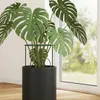Sillar 10x Supporto semicircolare per piante – 25×40 cm Anteprima dell’immagine prodotto 5