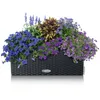 LECHUZA-Pflanzgefäß BALCONERA Cottage 50 Granit | Produktbild-Vorschau 17