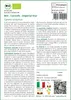 SAFLAX  -- Carciofo - Imperial Star - 5 semi - Cynara Anteprima dell’immagine prodotto 3