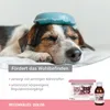 ReConvales Dolor 3 x 90 ml für Hunde und Katzen fördert das Produktbild-Vorschau 4