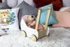A teddy bear in a toy stroller surrounded by pillows. Produktbild-Vorschau