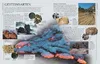 Steine & Mineralien Produktbild-Vorschau 4