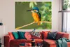 MuchoWow® Poster Vogel - Eisvogel - Zweig - Blätter - Moos Produktbild-Vorschau 2