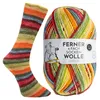 Ferner LUNGAUER SOCKENWOLLE 100 g bunte 4-fach Produktbild-Vorschau 2