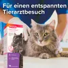 Beaphar CatComfort Wohlfühl-Spray für Katzen - 60 ml Produktbild-Vorschau 4