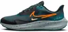 Chaussures Nike Air Zoom Pegasus 39 Shield DO7625300 Voir les images du produit 1