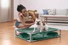 Piscine Bestway® My First Frame pour animaux de compagnie, Voir les images du produit 9