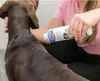 A person is applying dry shampoo to a dog's back. Produktbild-Vorschau