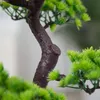 Bonsai,bonsai baum,Sonstige Partydekorationen,34cm, Produktbild-Vorschau 5