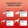 GILPA Kennel - trockenfutter für Hunde - 15kg Produktbild-Vorschau 8