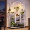 A plant stand filled with various plants and decorative items, placed indoors near a window. Anteprima dell’immagine prodotto