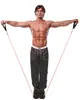 Iron Gym – Verstellbares Trainingsband Produktbild-Vorschau 3