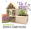 Artikelbild 5 von 'Insektenhotel Lavendel' aus der Kategorie Insektenhotels Produktbild-Vorschau
