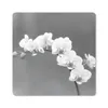 MuchoWow® Mauspad Mousepad Orchidee - Blumen - Pflanze - Produktbild-Vorschau 1