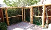 A bamboo fence with a gate, enclosing a garden area with bamboo plants and a tree. Voir les images du produit