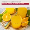 FACKELMANN  Zitronenpresse Kunststoff, Höhe: 90 mm, ø: 120 Anteprima dell’immagine prodotto 4