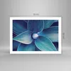 Poster - Poster ohne Rahmen - Agave Blau Blume - 70x50 cm - Produktbild-Vorschau 4