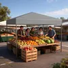 LZQ Pop-Up Pavillon 3x3 m Faltpavillon für Garten & Produktbild-Vorschau 12