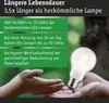 Paulmann Eco-Line Filament 230V LED Birne Einzelleuchte Produktbild-Vorschau 4