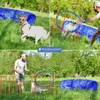PFOTENWUNDER® 9-in-1 Agility Set Hunde groß + 21 Min. Produktbild-Vorschau 6