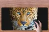 MuchoWow® Schreibtischunterlage Leopard - Tiere - Porträt - Produktbild-Vorschau 3