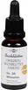Bachblüten Murnauer Mimulus Tropfen 20 ml Produktbild-Vorschau 1