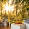 Basera Selbstklebende Fototapete Waldmotiv c-C-0032-a-c, Produktbild-Vorschau 1
