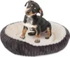 A small puppy sits in a dog bed. Produktbild-Vorschau