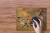 MuchoWow® Mauspad Mousepad Eichhörnchen - Baumstamm - Wald Produktbild-Vorschau 3