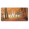 MuchoWow® Schreibtischunterlage Blätter - Herbst - Wald Produktbild-Vorschau 1