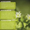 Vogelmiere Samen (Stellaria media) - Wertvolle Heilpflanze Produktbild-Vorschau 4