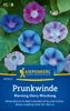 Kiepenkerl Prunkwindensamen Morning Glory Ipomoea purpurea Produktbild-Vorschau 3