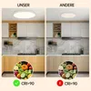 JDONG LED Deckenleuchte 36W Flach Rund Weiß Deckenlampe Produktbild-Vorschau 9
