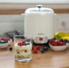 A yogurt maker is shown in the background with a glass of yogurt and berries in the foreground. Náhled obrázku produktu