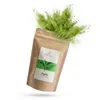 Mary Rose - Matcha Tee Set 100g - Pulver Grüner Tee - Produktbild-Vorschau 9