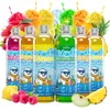 Belissia Slush Eis Sirup 6×250 ml Konzentrat | Sehr Produktbild-Vorschau 1
