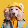 Tableau sur toile portrait chien estival 30x30 cm, Tableau Voir les images du produit 1