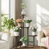 A multi-tiered plant stand filled with various potted plants is placed next to a window and a sofa in a living room. Náhľad obrázku produktu