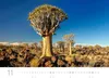 Exklusivkalender Namibia 2027, 70 x 50 cm, limitierte Produktbild-Vorschau 5