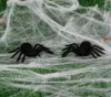 Dekorace černí pavouci - HALLOWEEN - sada 2 ks Náhled obrázku produktu 1