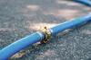 Schlauchstück GEKA Messing DVGW  25 mm (1) - 25 mm (1")" Produktbild-Vorschau 3