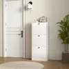 A white shoe cabinet with three flip-down drawers stands next to a white door, with a plant in a planter to the right and a round rug on the floor. Produktbild-Vorschau