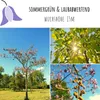 Blauglockenbaum Kiribaum Samen (Paulownia tomentosa) - Produktbild-Vorschau 3