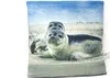 Stoffkissen - Seehunde - 35x35 Produktbild-Vorschau 1