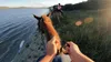 Popruh na hlavu GoPro 2.0 - Vodotesné a protišmykové Náhľad obrázku produktu 11